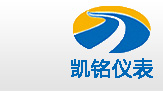 金湖蜜柚视频了app下载汅api免费下载仪表有限公司LOGO